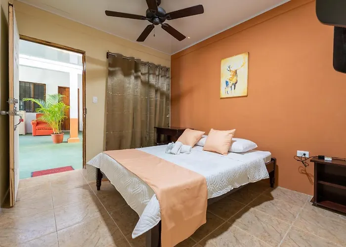 Bed and breakfast El Cocobolo Food&rest 5 Wifi Ac Pkg Free Swimmingpool